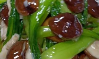 西青菜怎么做好吃 青菜怎么做好吃